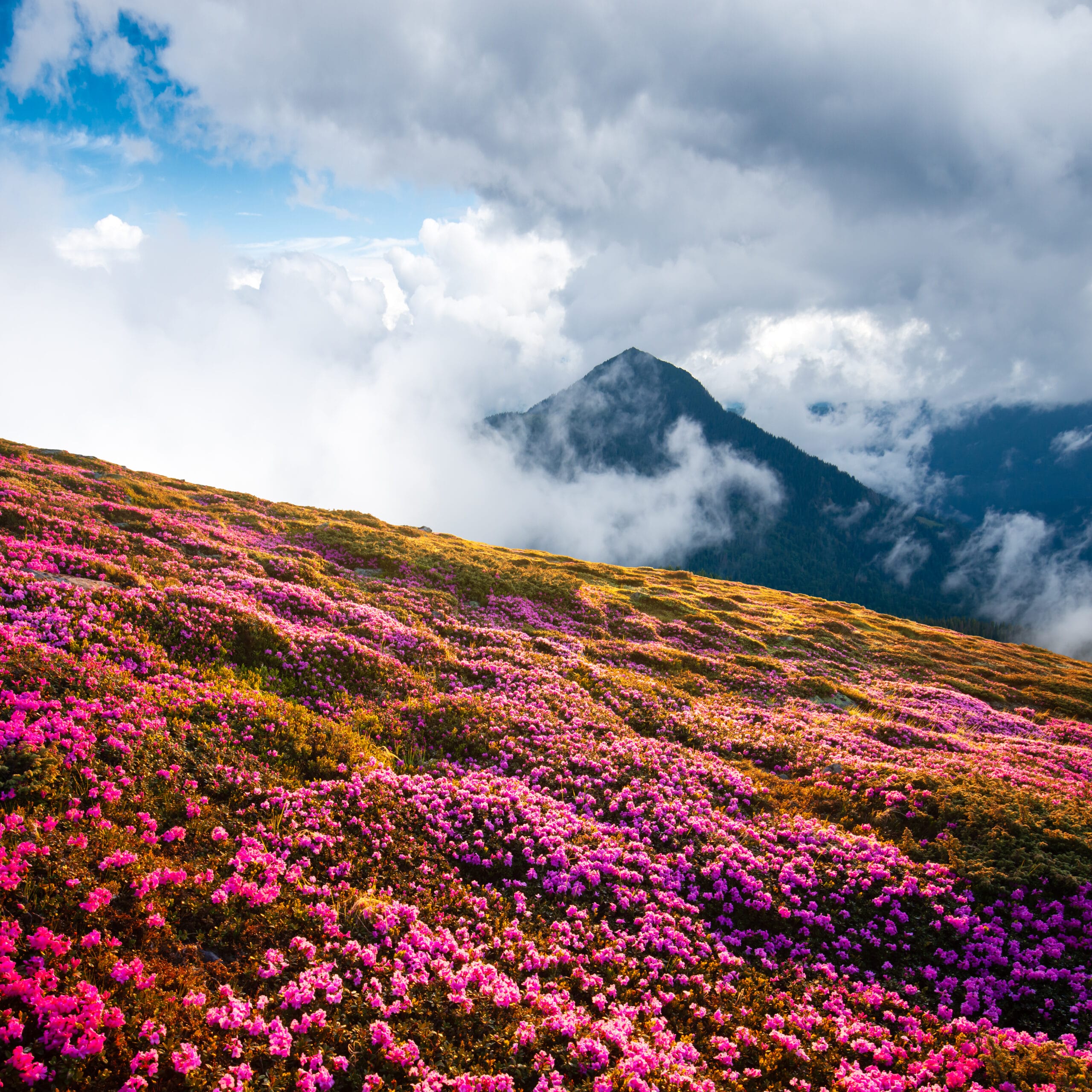 Air Quality Fukushima Prefecture
